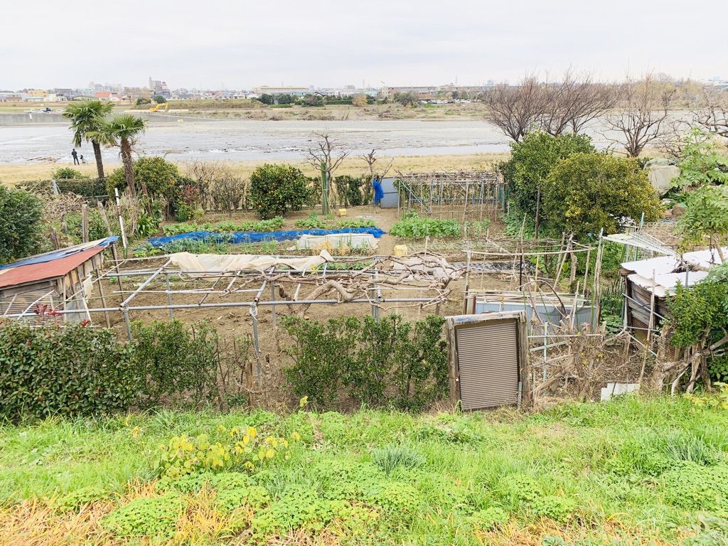 Community garden on the Tama River