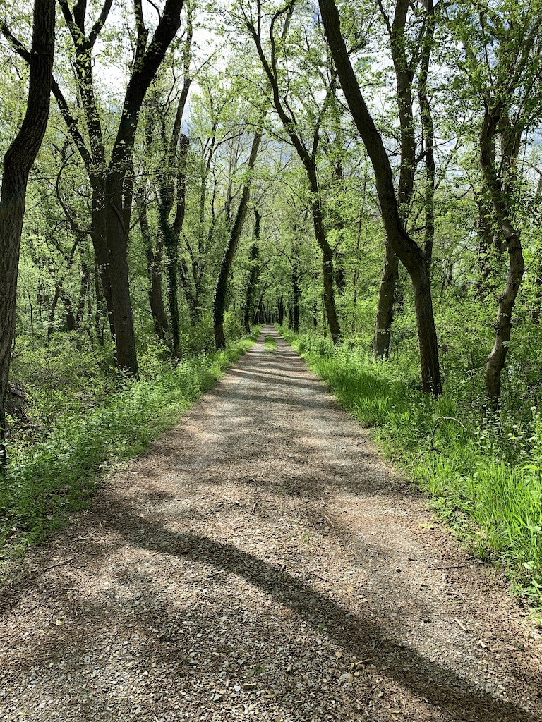 Antietam Creek Canal Path